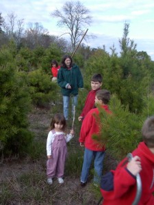 Image004 2